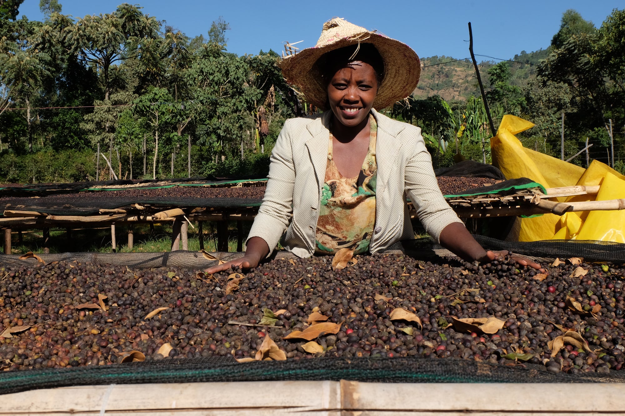 A worker at a coffee farm, smiling warmly at the camera over a tray of coffee berries.
